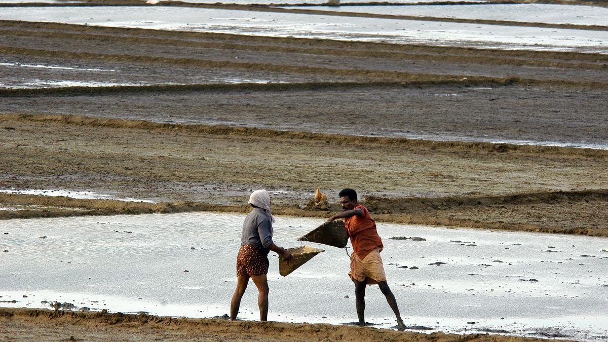 PM’s Principal Secretary endorses use of hybrid seeds in rice, pulses, oilseeds