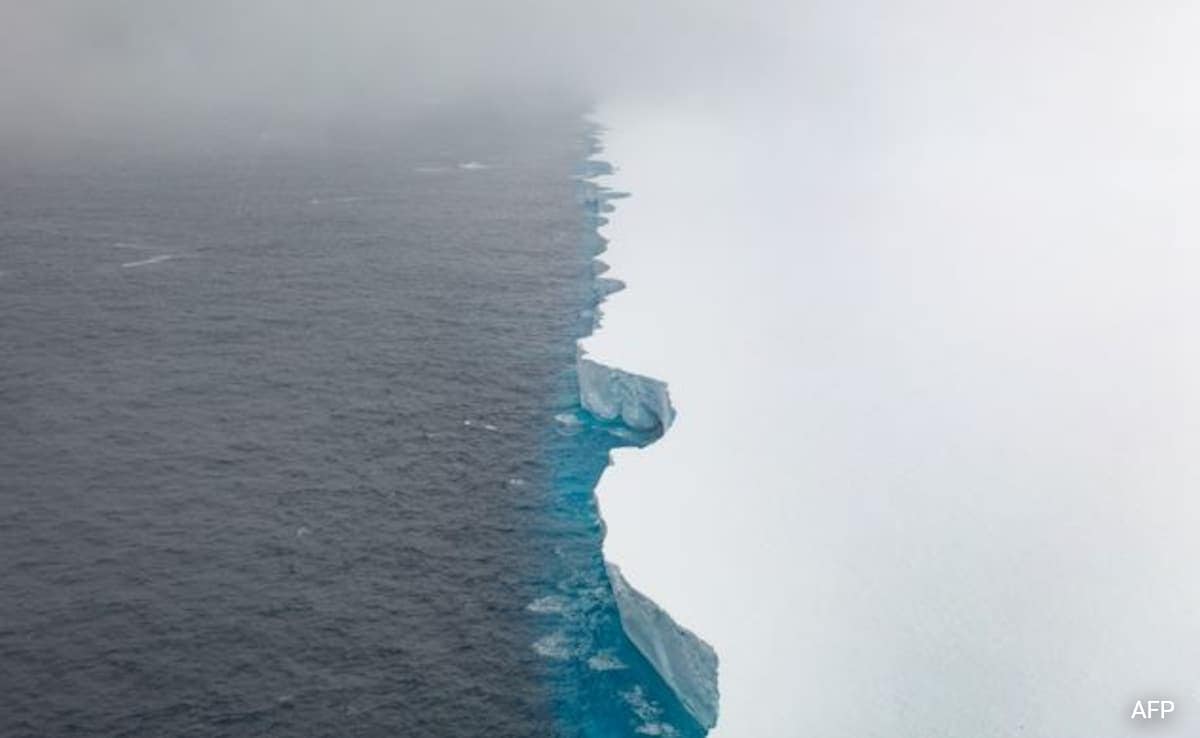 Monster “Game Of Thrones-esque” Iceberg Threatens Antarctic Wildlife