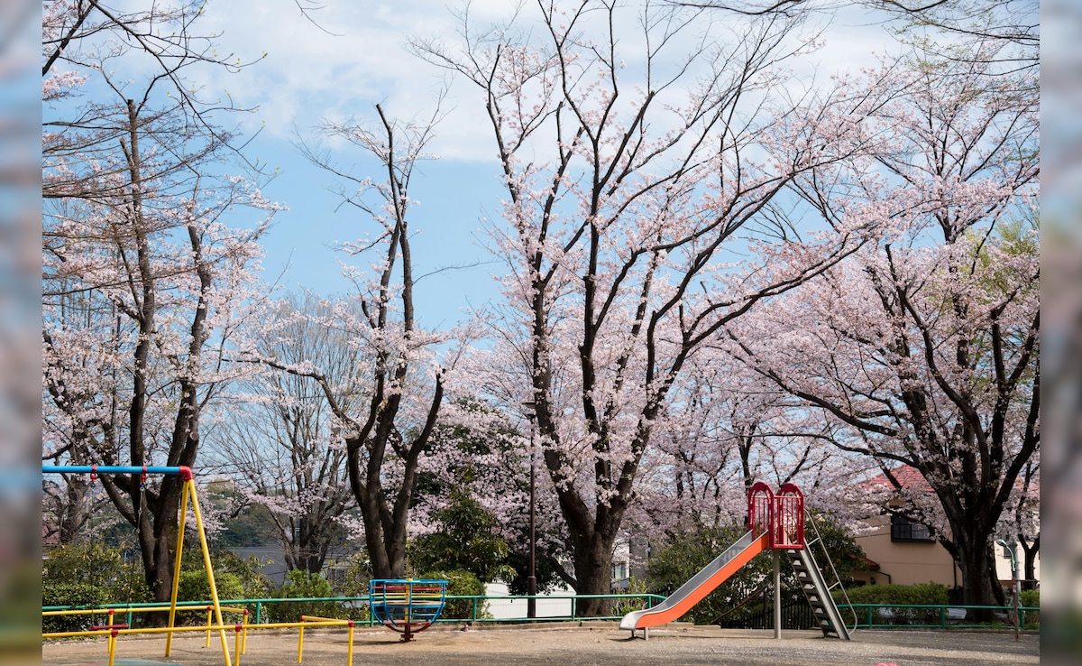 Over 175 World War II Bombs Found Underneath Children’s Playground In UK