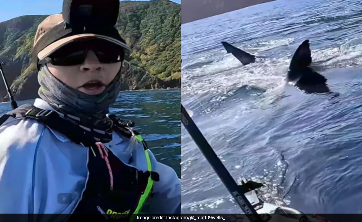 New Zealand Teen Records Terrifying Encounter With Great White Shark: “My Main Worry Was…”