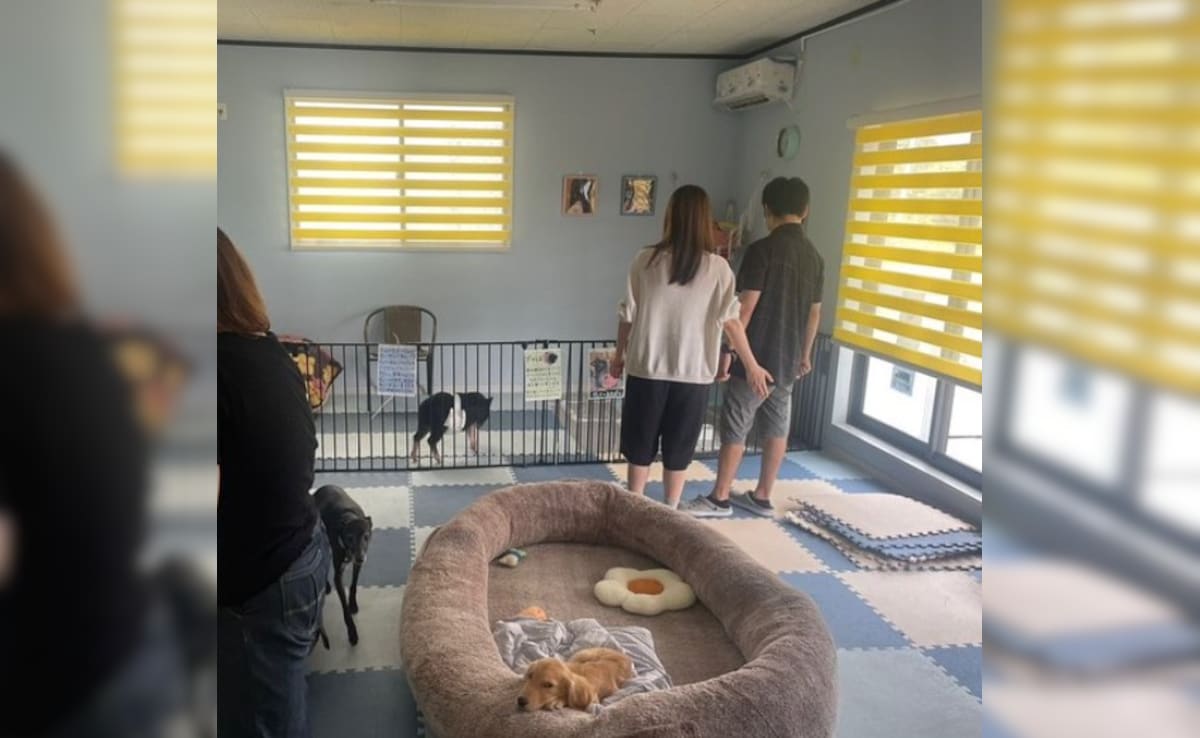 Japan Zoo Bans Solo Male Visitors After Harassment Complaints