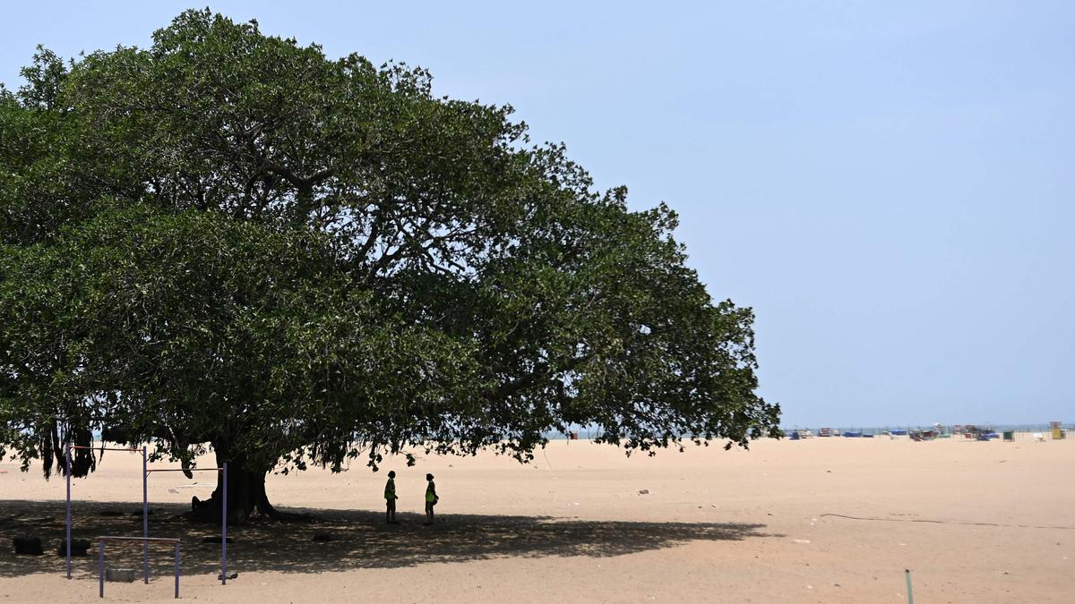 January 2025 was warmest on record despite La Nina’s cooling effect: EU climate agency