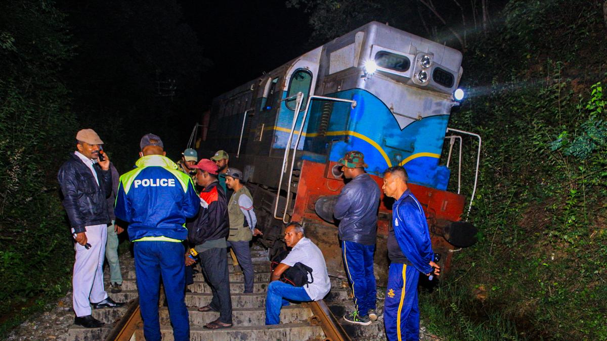 Sri Lanka train derailed after smashing into elephants