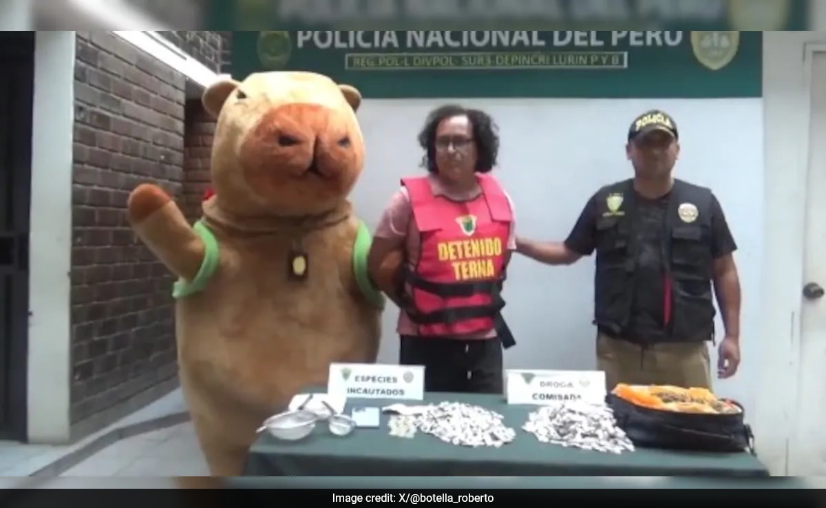 Policeman Dressed As Giant Capybara Leads Drug Raid On Valentine’s Day