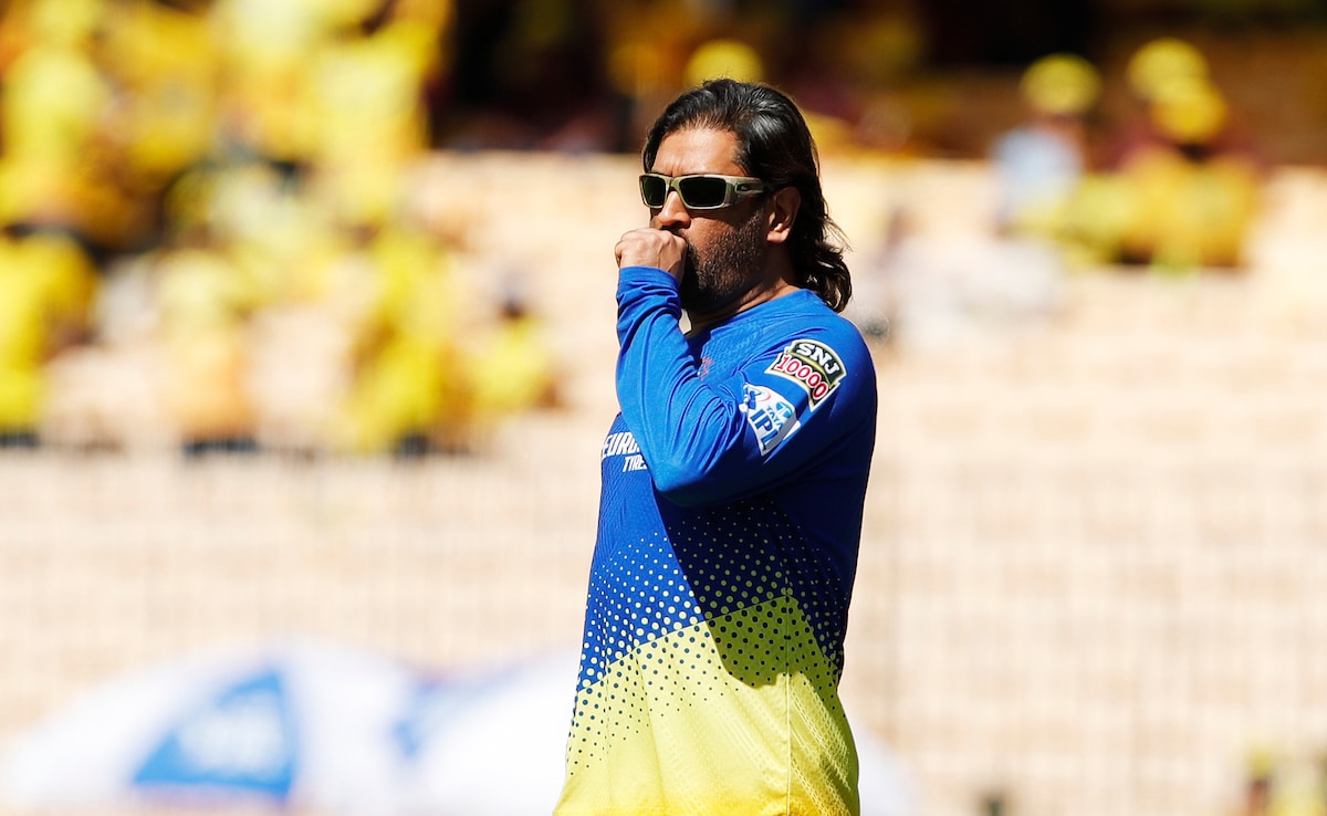 MS Dhoni Asked By Top BCCI Official About Contesting For Lok Sabha. His Reply Was…