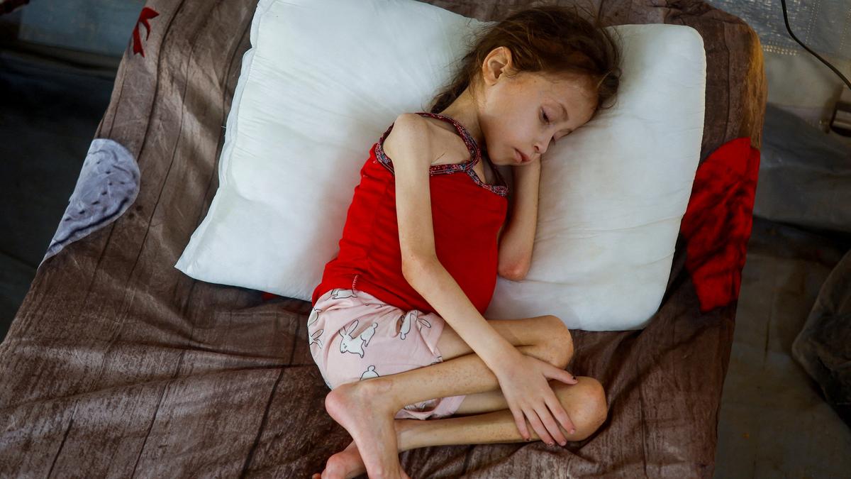 Israel Gaza war: what is a famine