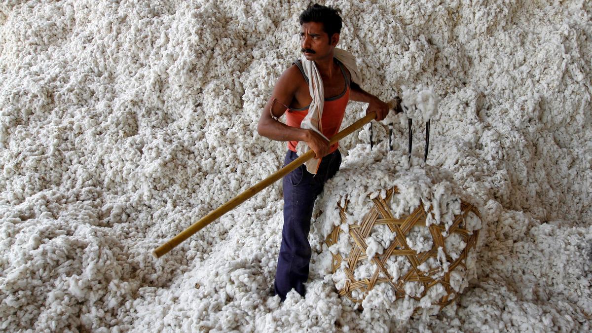 Government suspends import duty on cotton