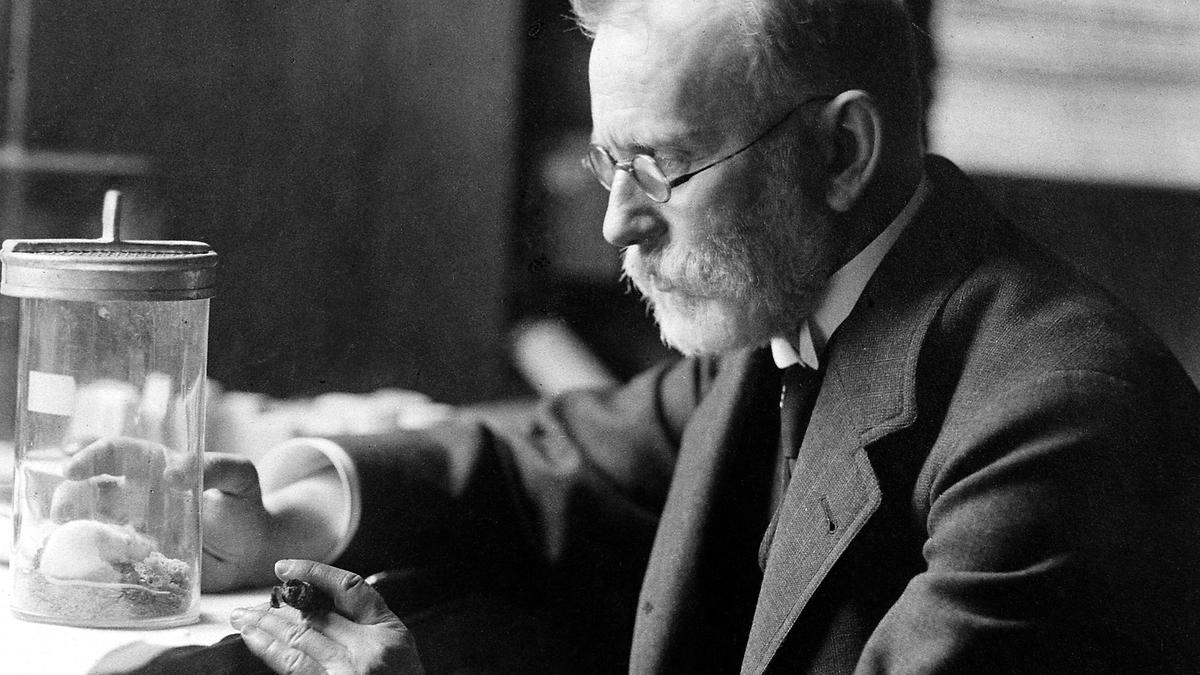 Ehrlich builds the basis for chemotherapy