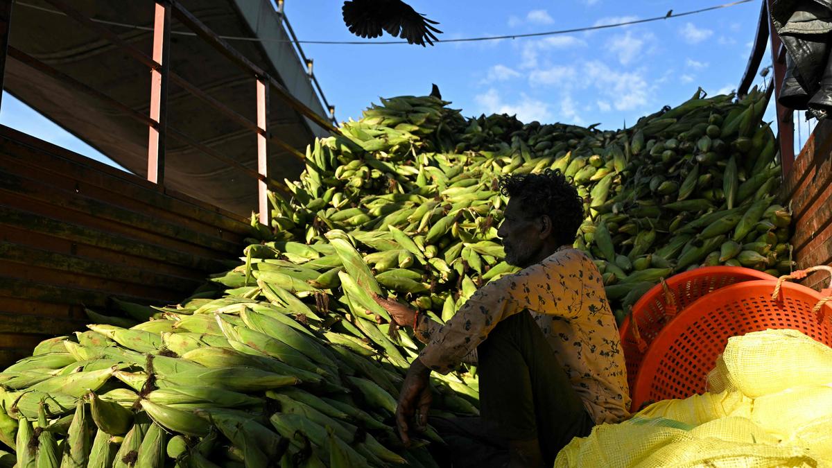 Is the Indian economy perfectly balanced?