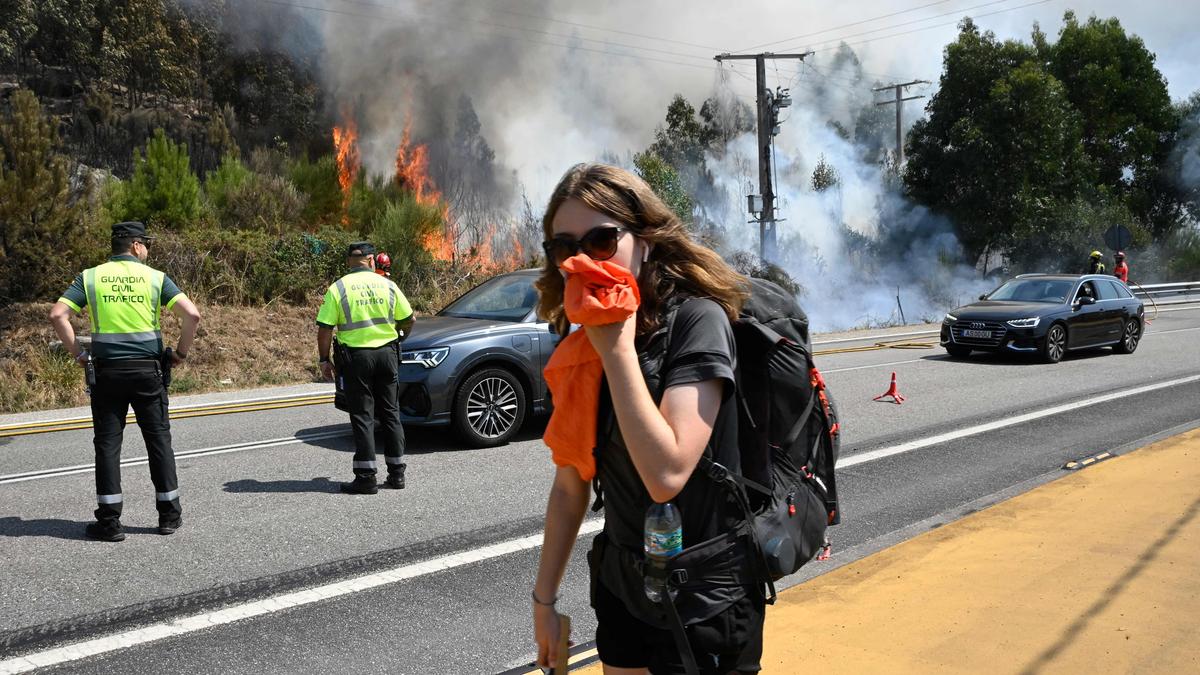 Spain’s wildfires almost vanquished: official