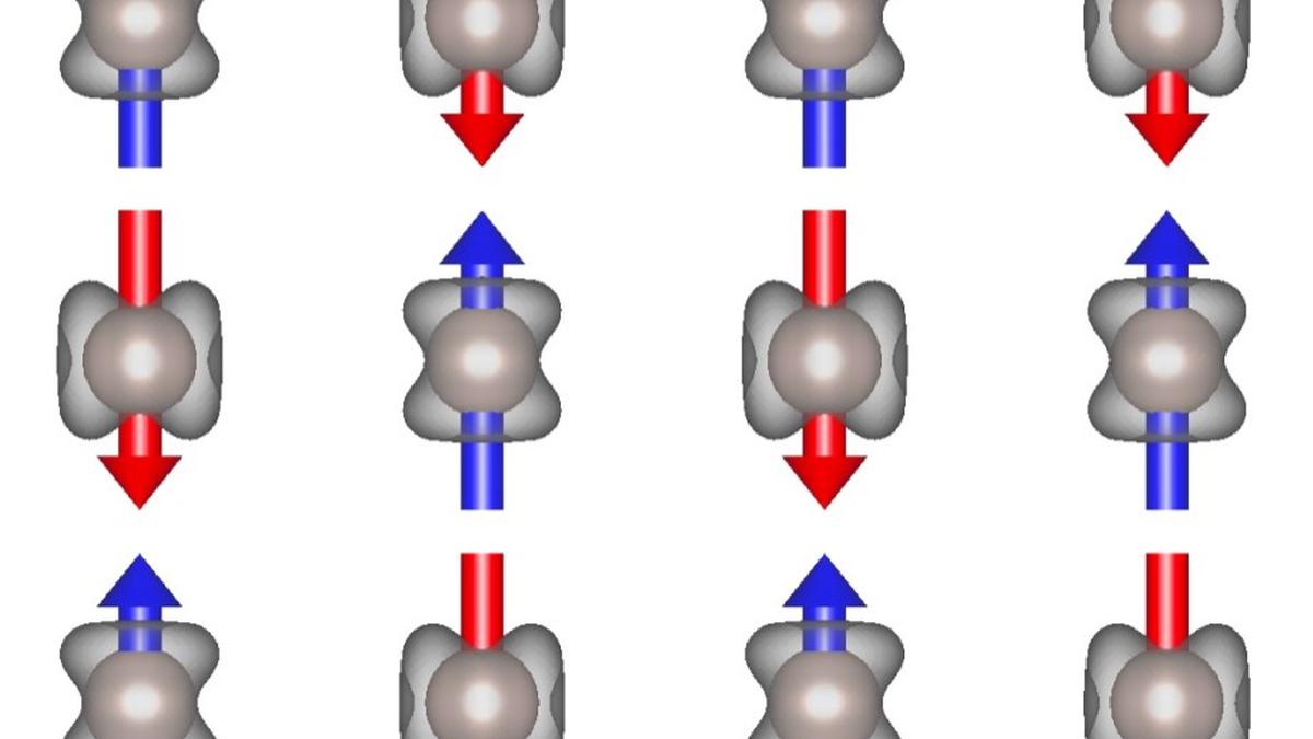 Altermagnet conducts with different charge carriers in different directions