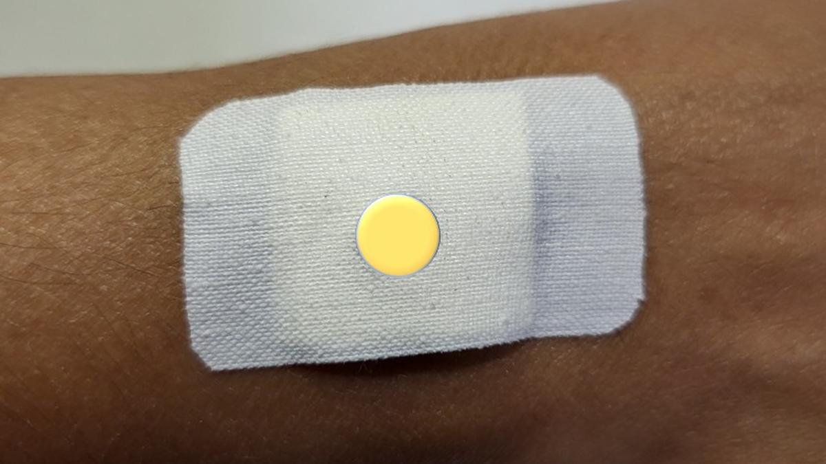 BITS Pilani Hyderabad scientists develop smart wound dressing to kill infection-causing bacteria