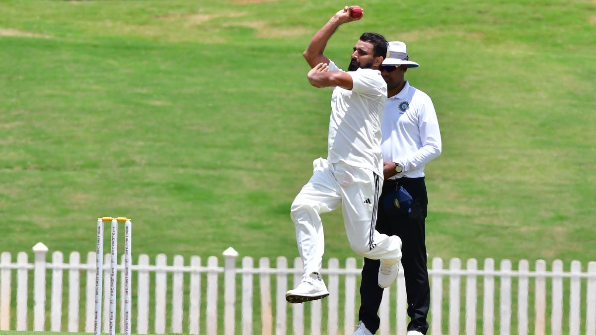 For Shami, hope springs eternal