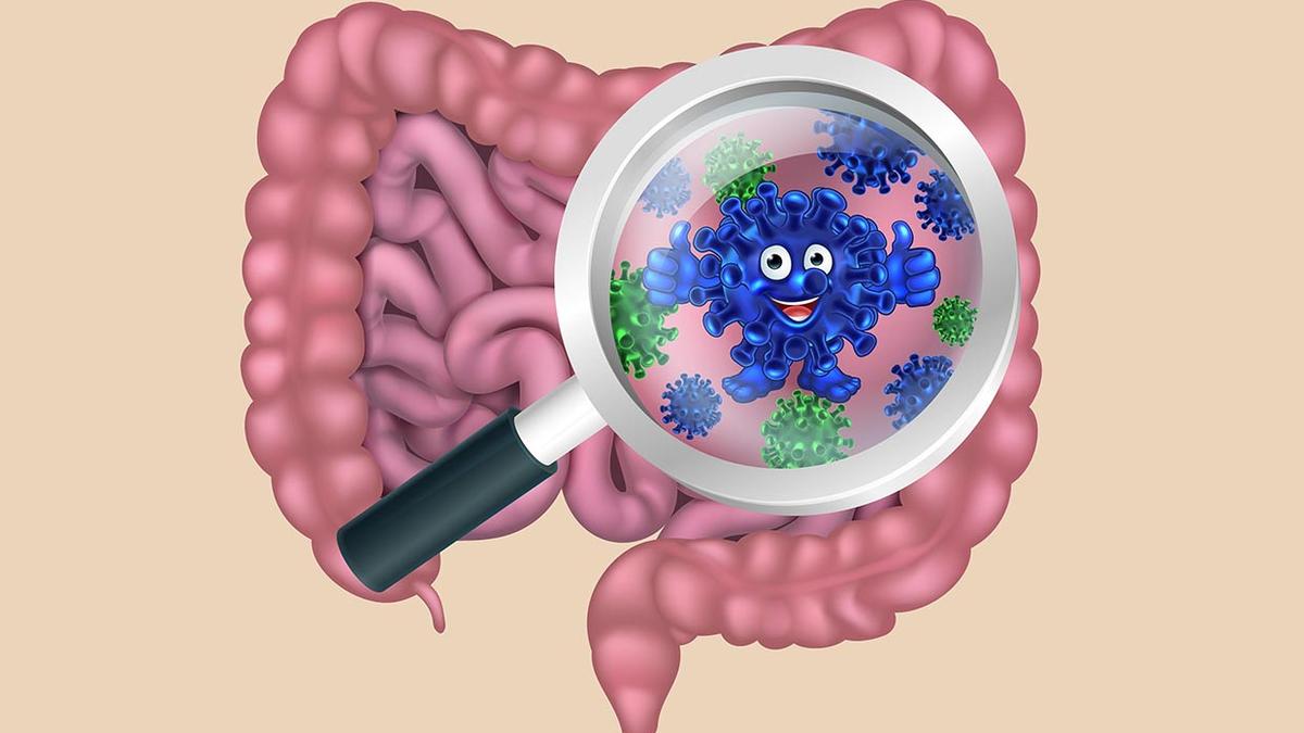 Can gut microbes help flush out forever chemicals in your body? Here is what experts have to say