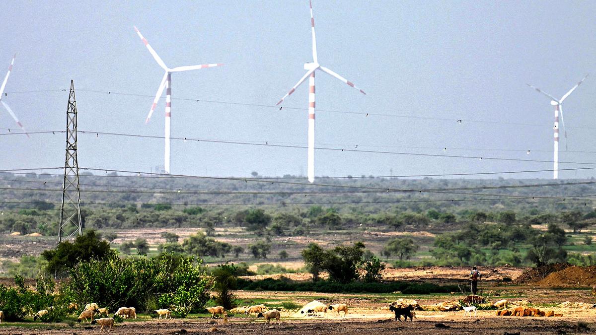 Bird deaths raise red flags as India expands wind energy