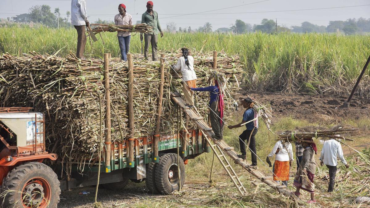 What has been the impact of ethanol blending? 