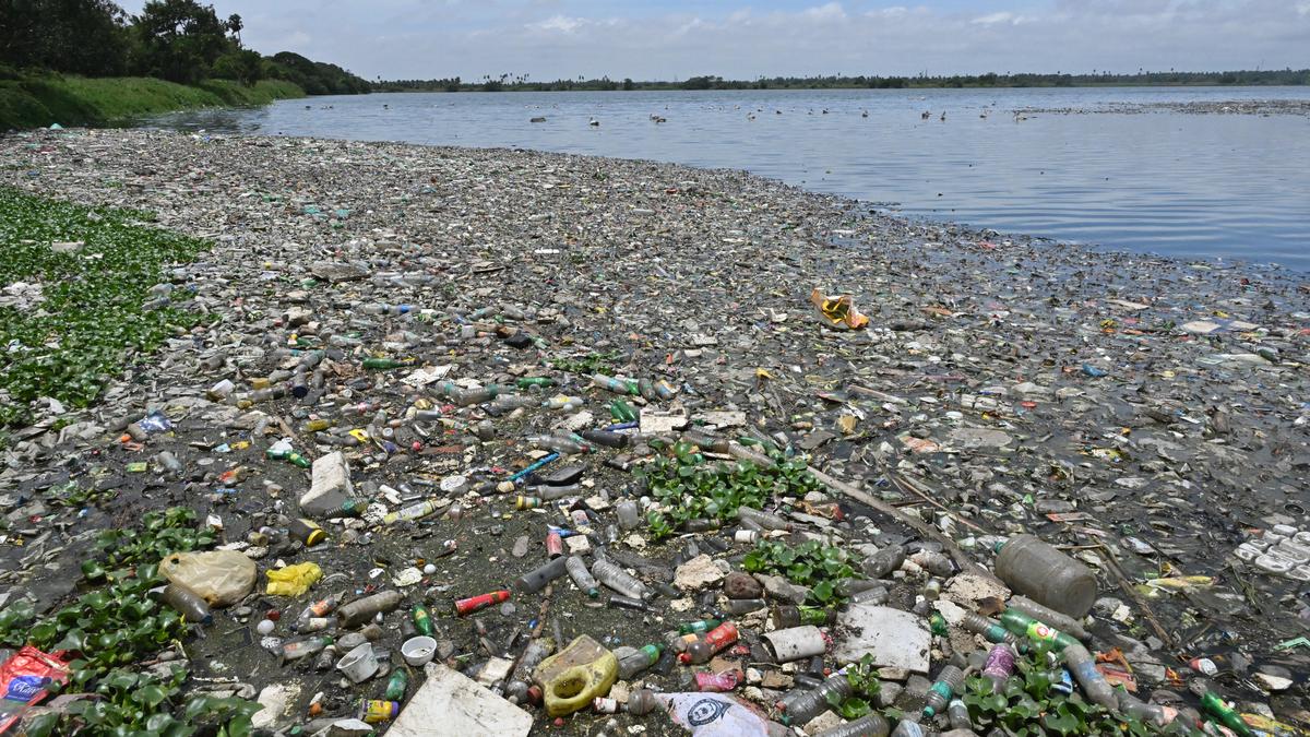 What are the uses of wastewater surveillance? | Explained