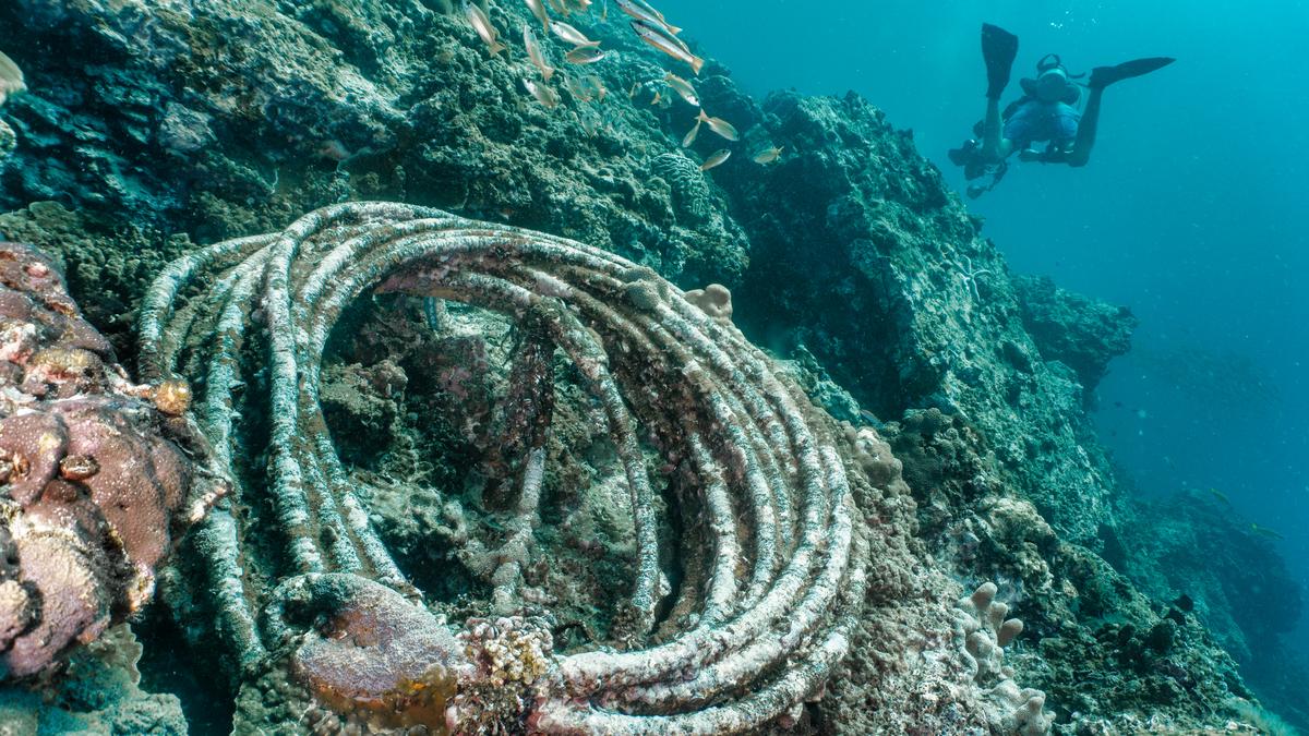 Fishing gear a major source of ‘microplastic’ contamination along Indian coasts