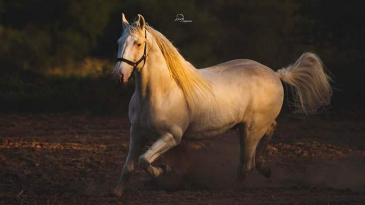 Easy like Sunday morning quiz