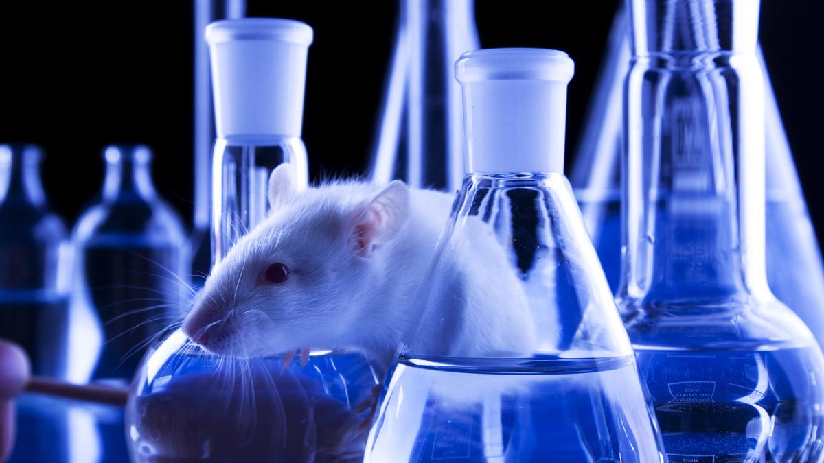 Spare live animals, move to biological models