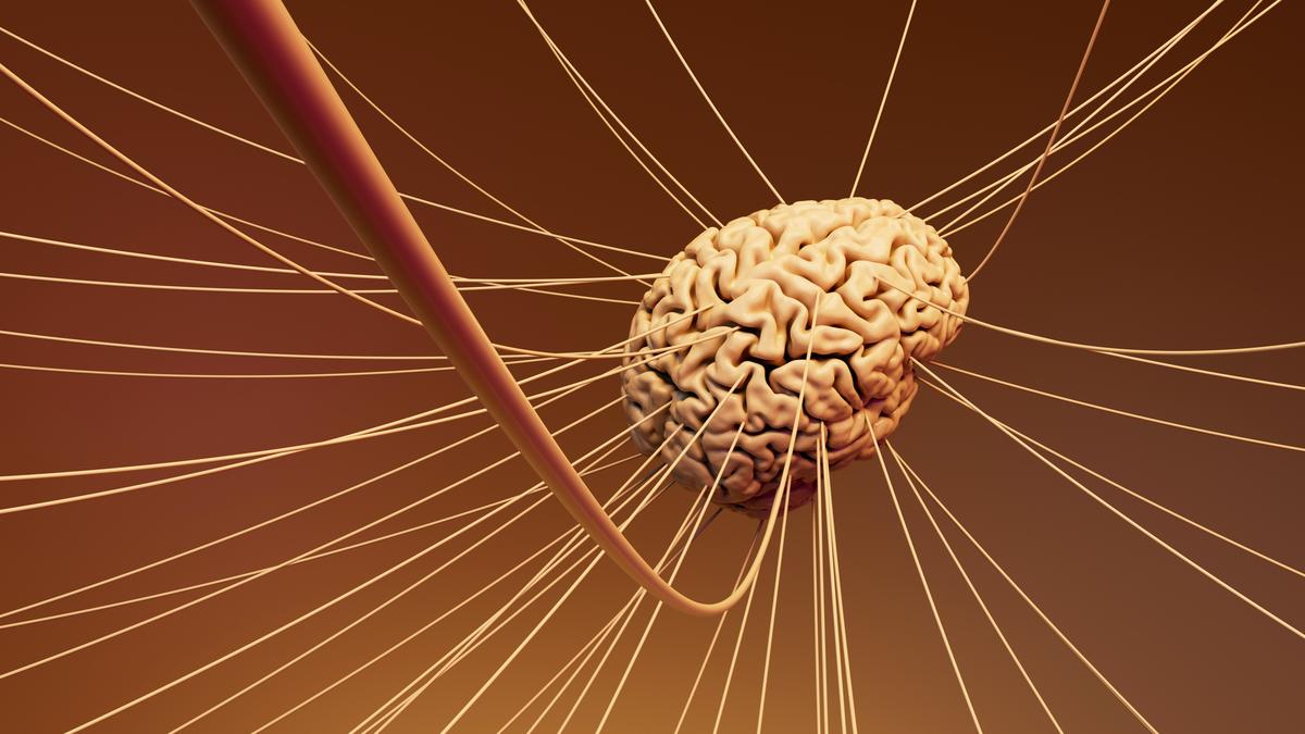 Major study opens window to the brain when an emotion first appears