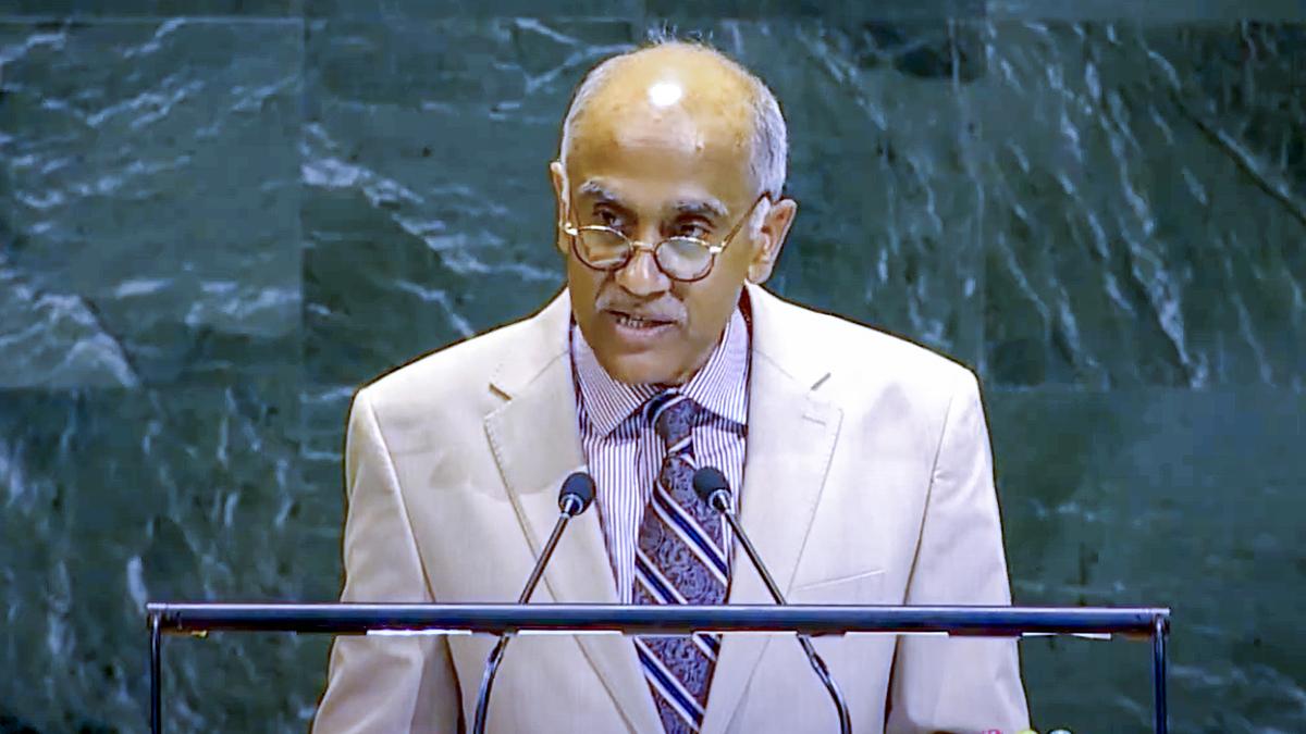 Collateral consequences of Ukraine conflict, including fuel price, affecting Global South: India tells UNGA