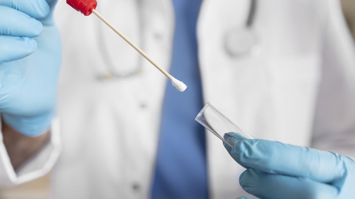 What do SC guidelines say on DNA? | Explained