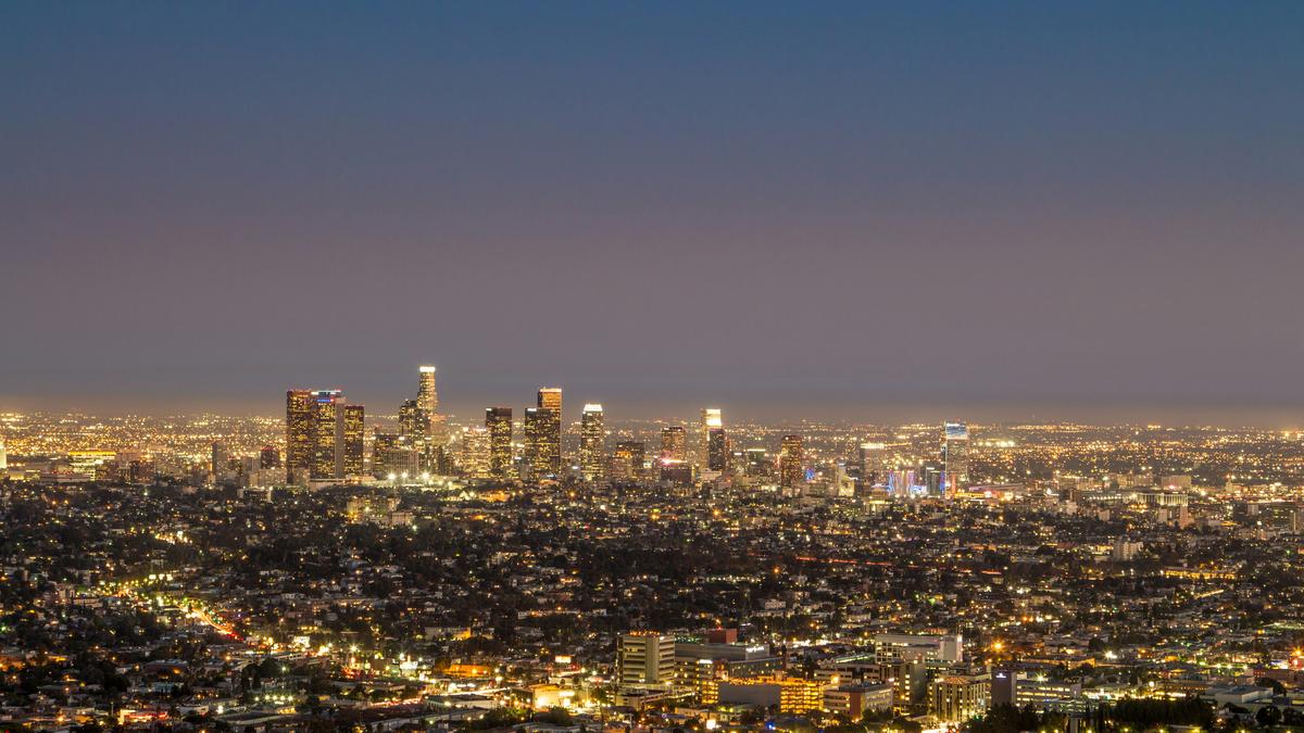 As the lights stay on, birds are staying up past their bedtime