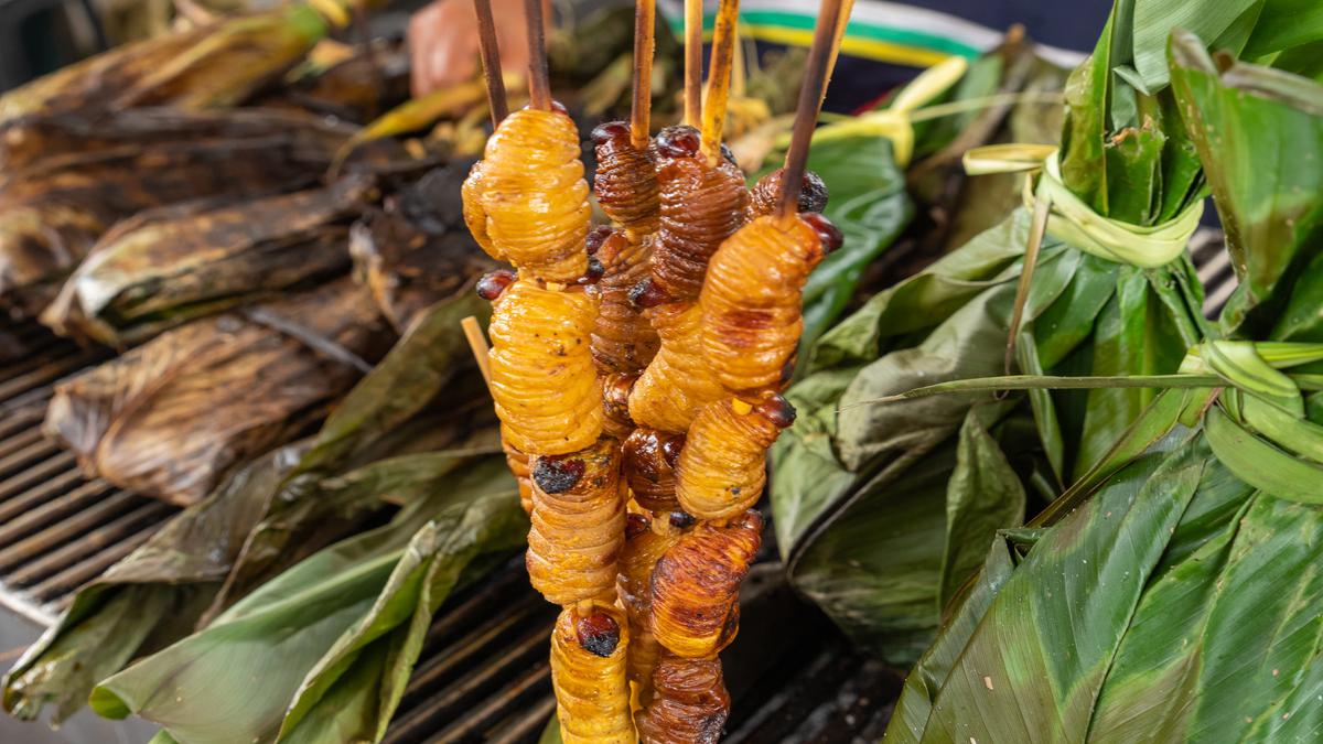 Edible insects are moving from taboo to the table