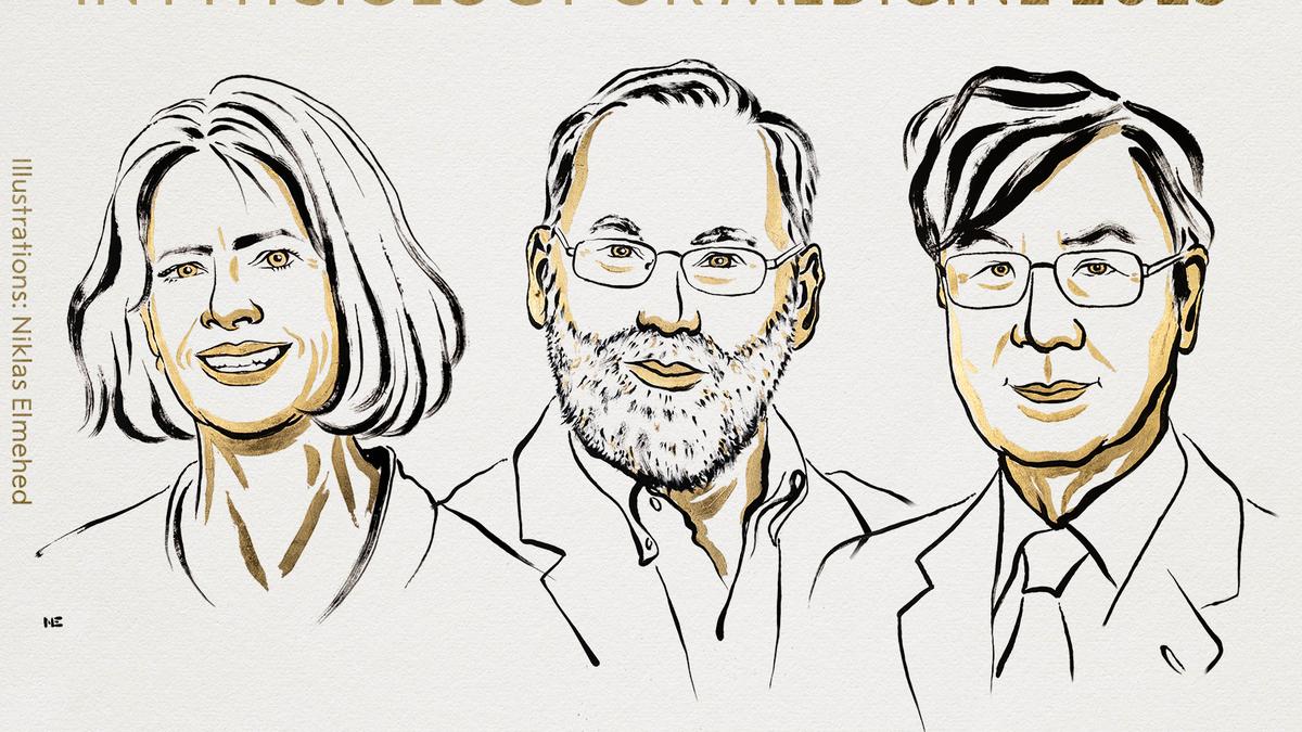 Who are the winners of the 2025 Nobel Prize in Physiology or Medicine?