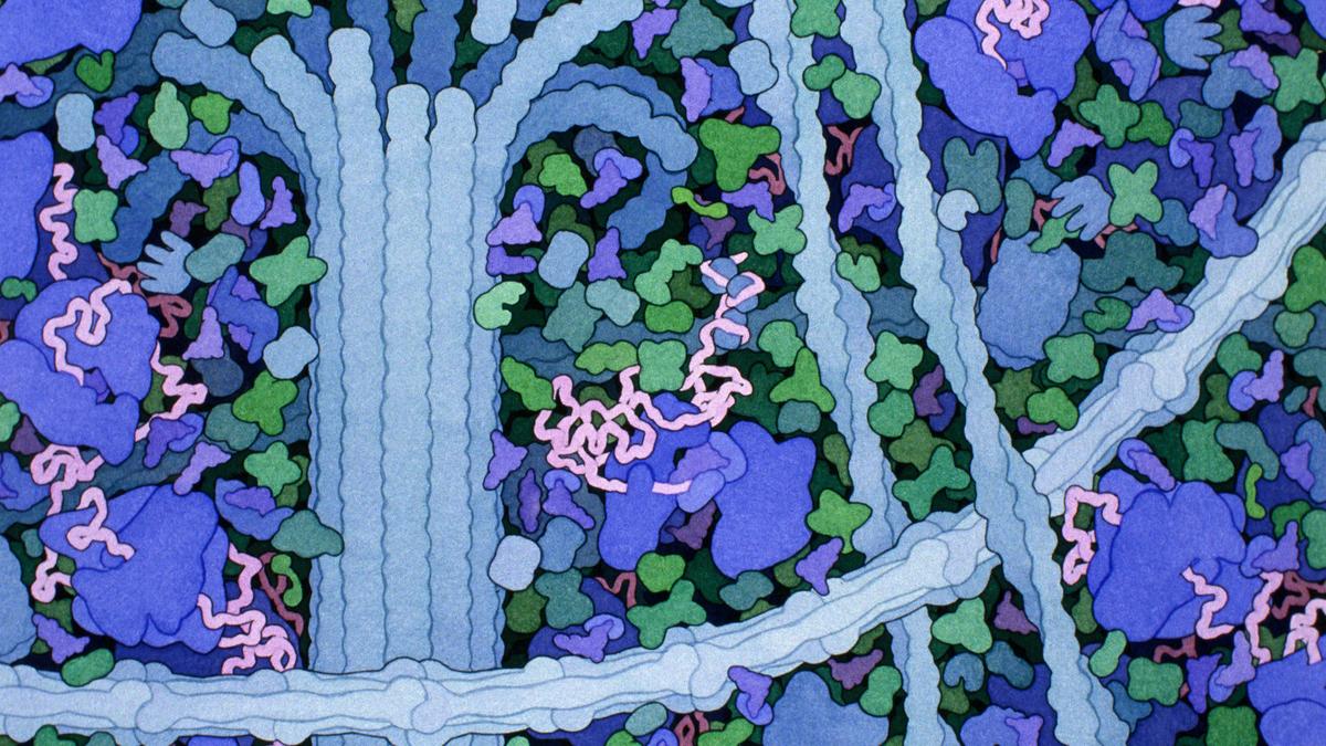 Google’s new AI for drug discovery is a win for scientific discovery