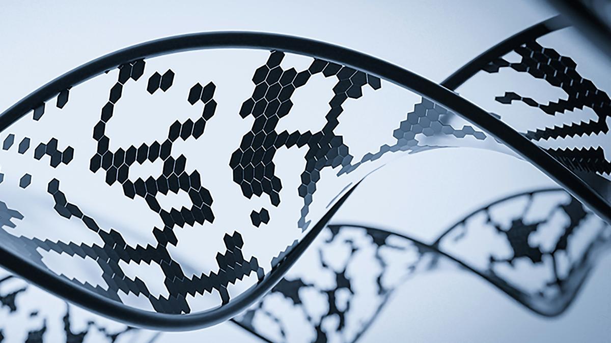 What is xenobiology? – The Hindu