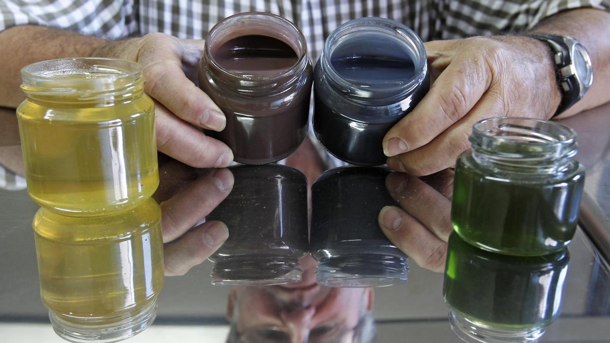 When the honey became green, blue and red!