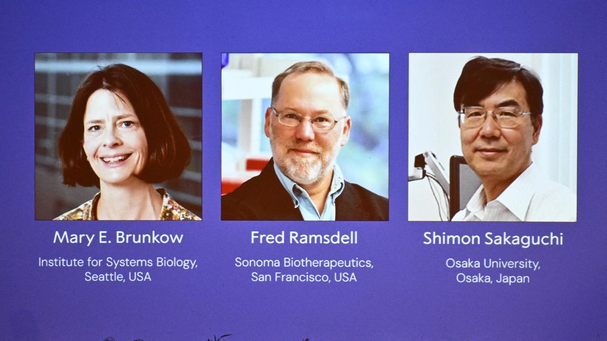 Who are the winners of the 2025 Nobel Prize in Physiology or Medicine?