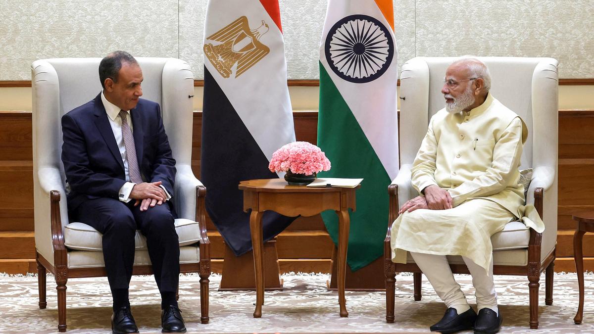 Egypt’s Foreign Minister meets PM Modi