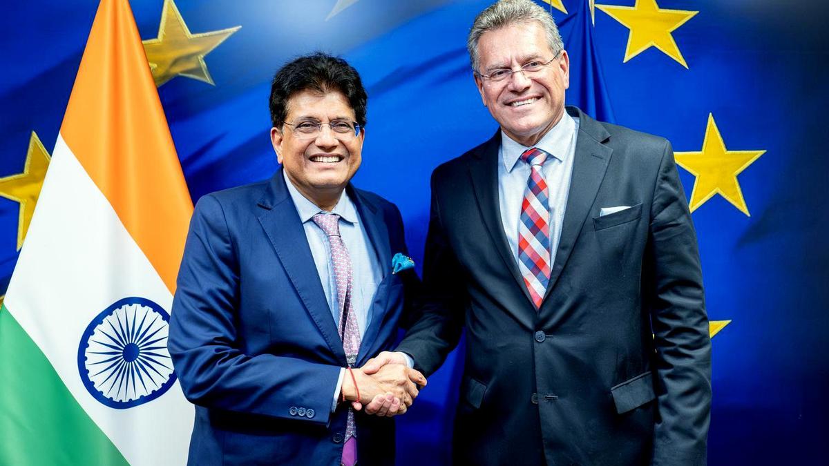 Trade talks with EU reduced ‘outstanding issues’, says Goyal