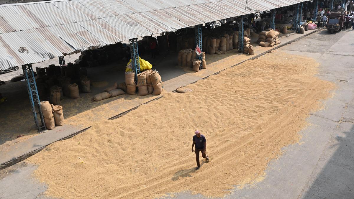 Trouble in ‘soy State’: Madhya Pradesh soybean farmers lose interest over multiple factors