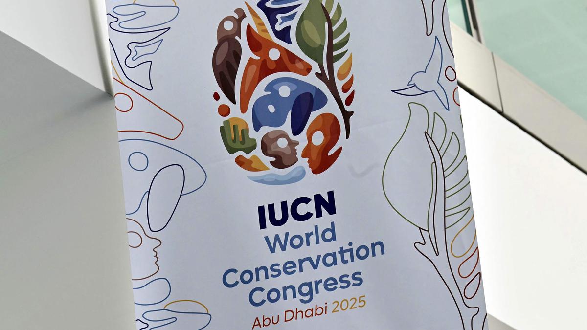 Seals, birds under threat in new ‘red list’ of endangered species