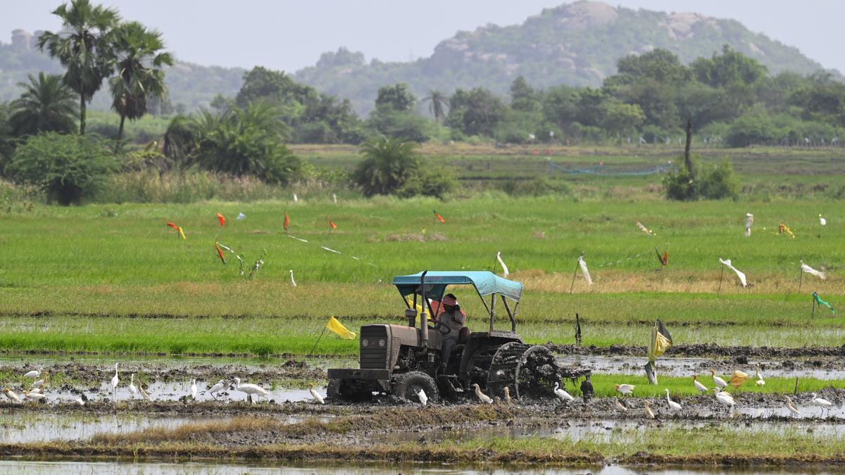 A green advantage in tractor exports