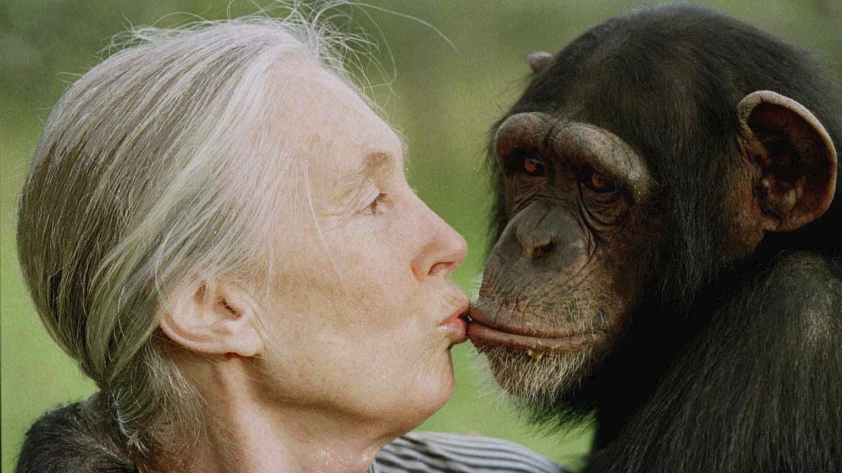 Jane Goodall, primate expert and wildlife advocate, dies at 91