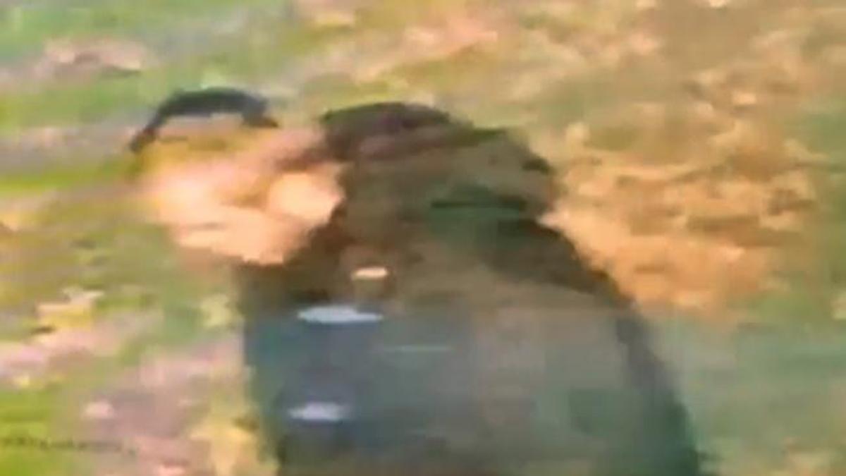 British man charged with racially aggravated rape of Indian-origin woman in U.K.