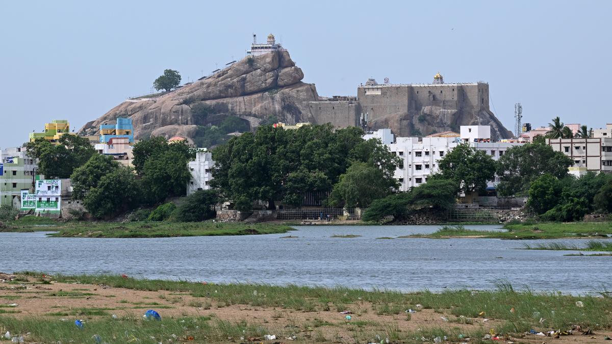 Heavy metals in Cauvery fish, study warns against regular intake