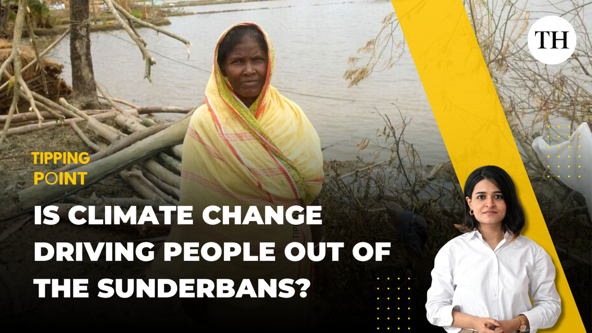 Watch: Is climate change driving people out of the Sunderbans?