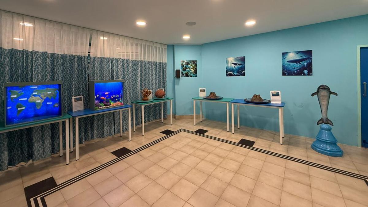 Bringing underwater experience to the visually-challenged, Accessible Science Corner unveiled in Chennai