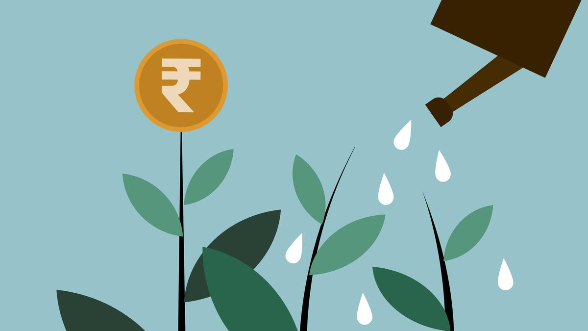 Why Indian capital needs to invest domestically