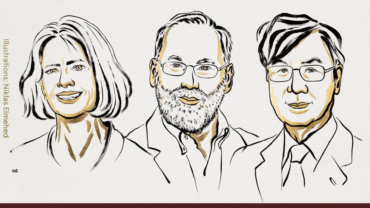 Medicine Nobel 2025 awarded – The Hindu