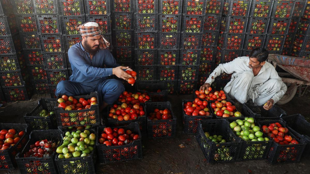 Suspension of trade with Afghanistan impacts perishable goods’ prices in Pakistan