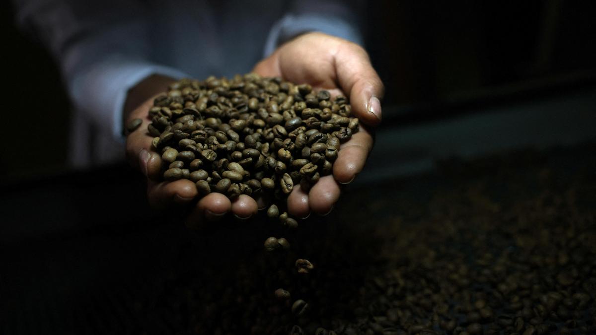 Trump expands tariff relief on coffee, fruit, beef from Brazil