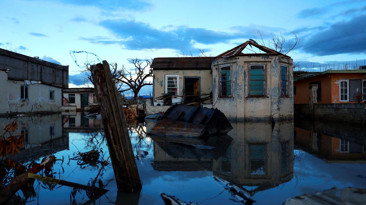 Jamaica reports deadly leptospirosis outbreak after Hurricane Melissa