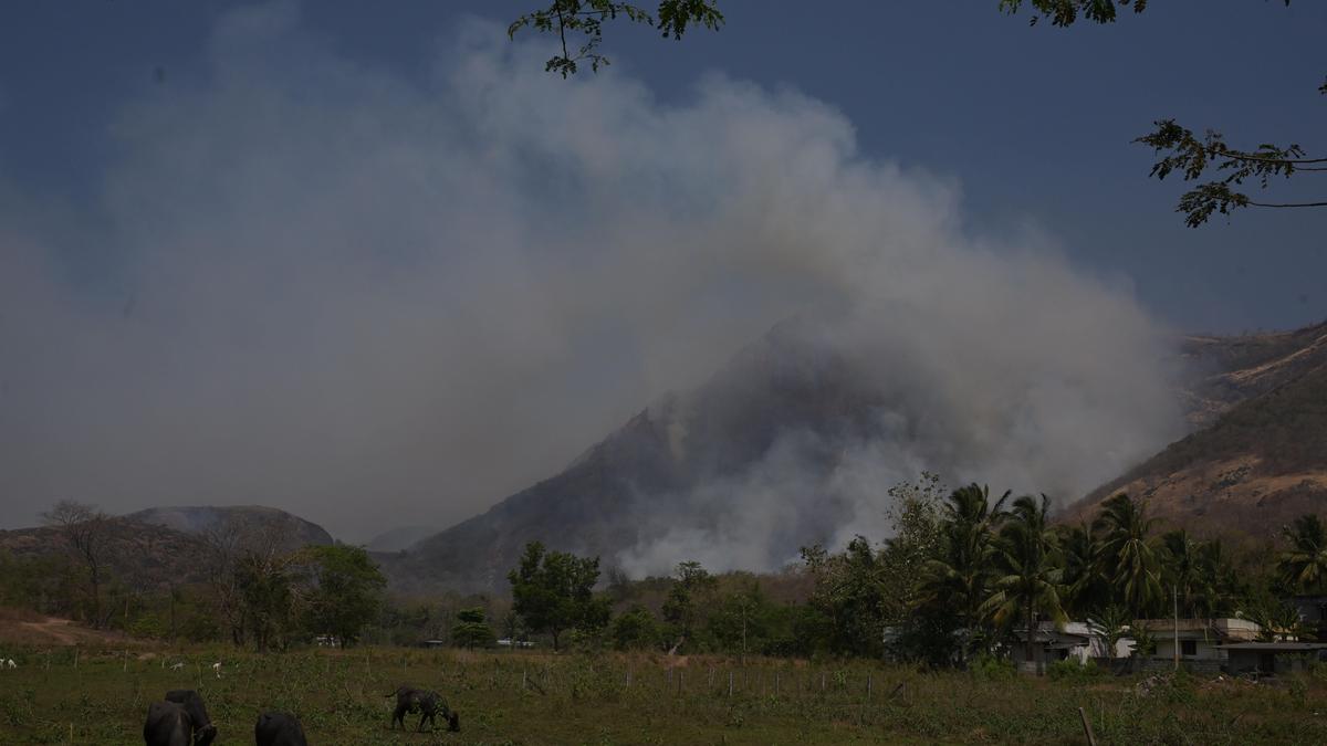 Climate Change and Climate Justice: India’s efforts to balance economic growth with green transition